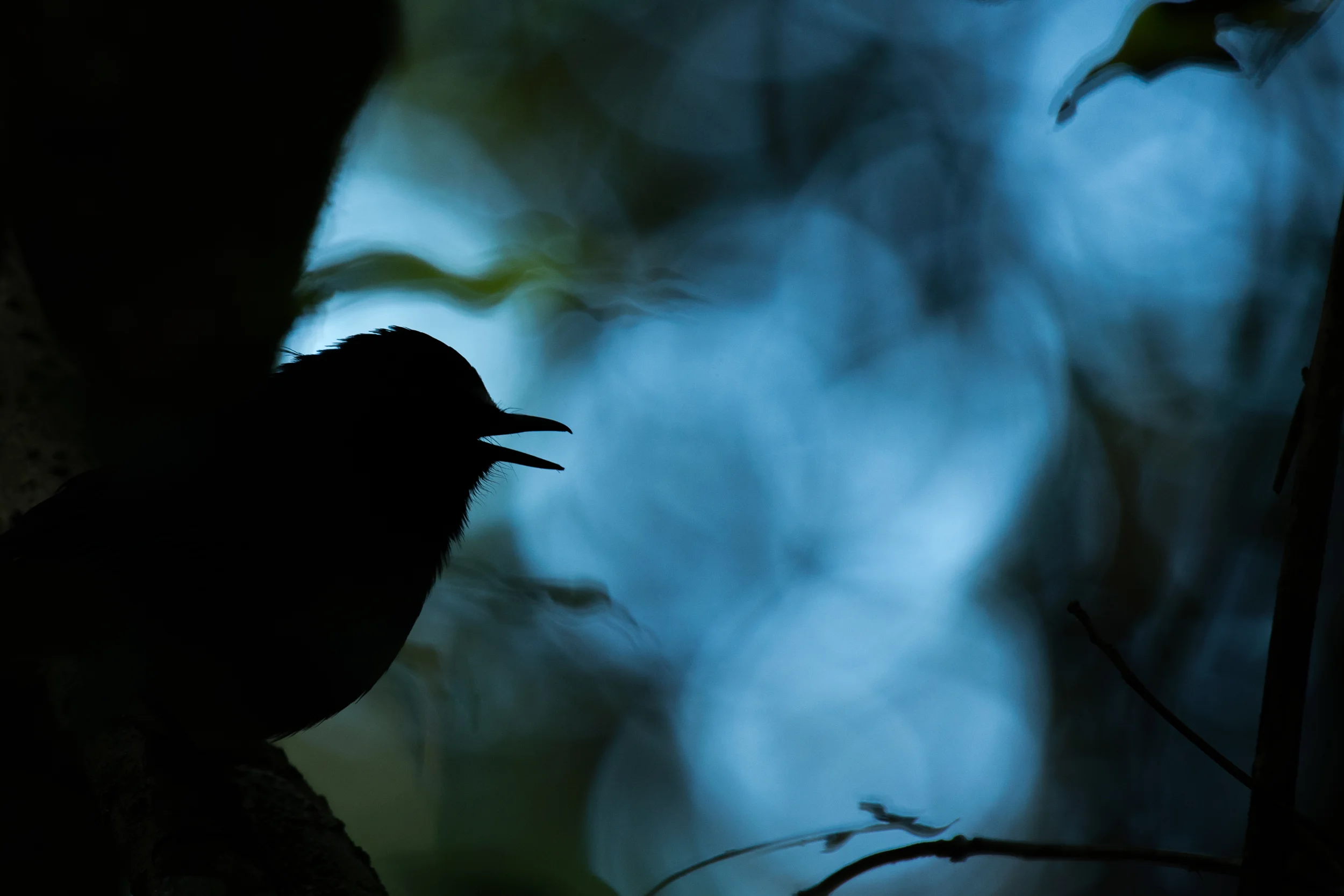 DSC_0846-Edit.jpg