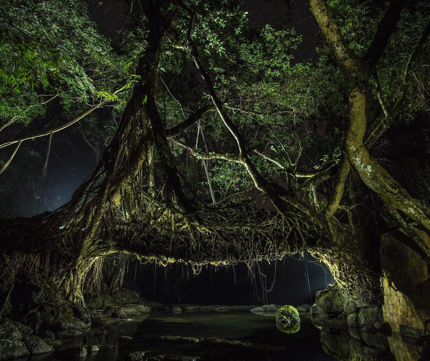 While documenting different aspects of these living root bridges, I was keen to photograph them in a unique light. The idea was to isolate these monumental bridges from the rainforest background that engulfs them.
After extensive research and advice 