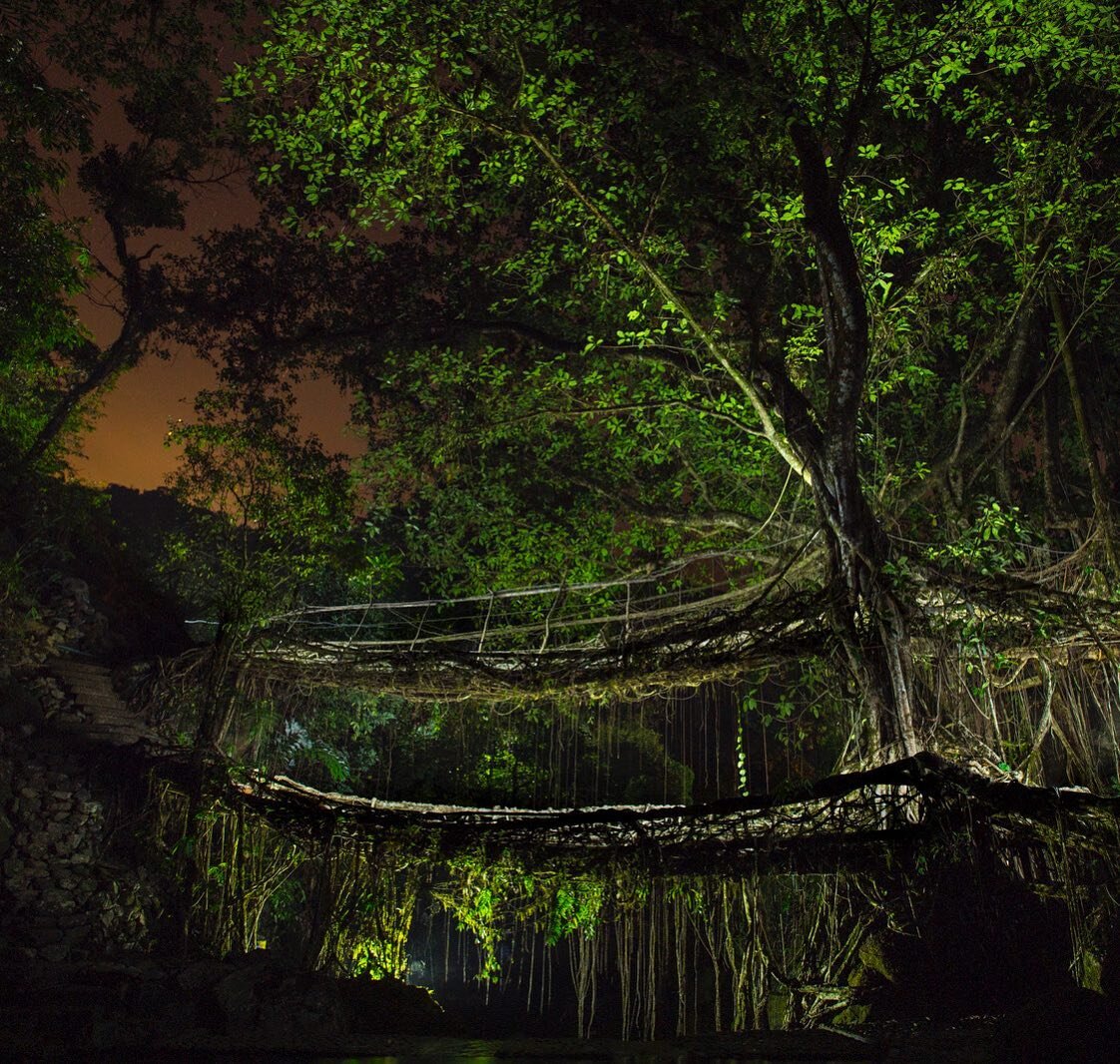 Root Bridges in @npr : It's a delight to see this full story published on @npr. This story was partially funded by NatgeoSociety and was published in NatGeo magazine in December 2019 issue which you probably saw. Here is the larger story for your eye