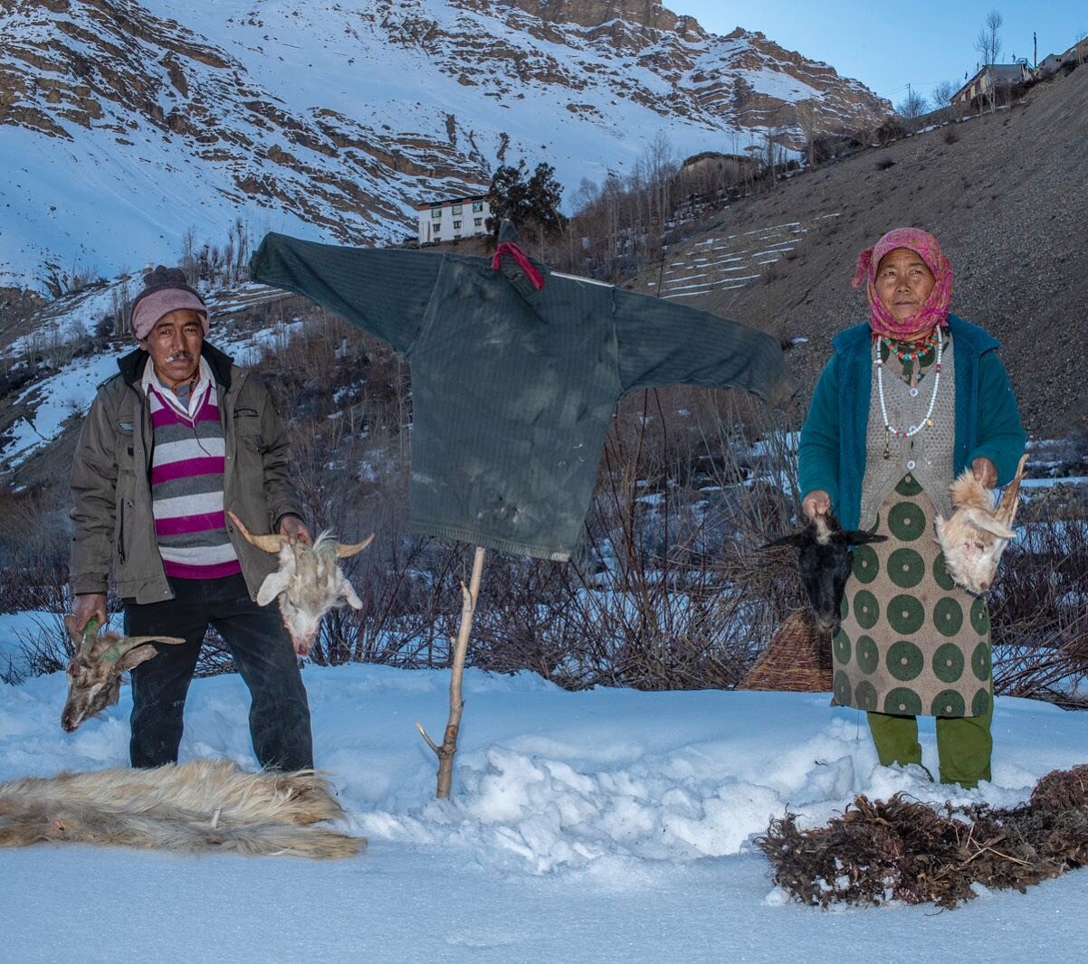 In this image, Getuk Chomo, and her husband, Nawang Tashi, display their depredated goats. The couple stands next to a scarecrow, which they erected to ward off snow leopards near their home in India's Spiti Valley. &quot;It worked for a while,&quot;