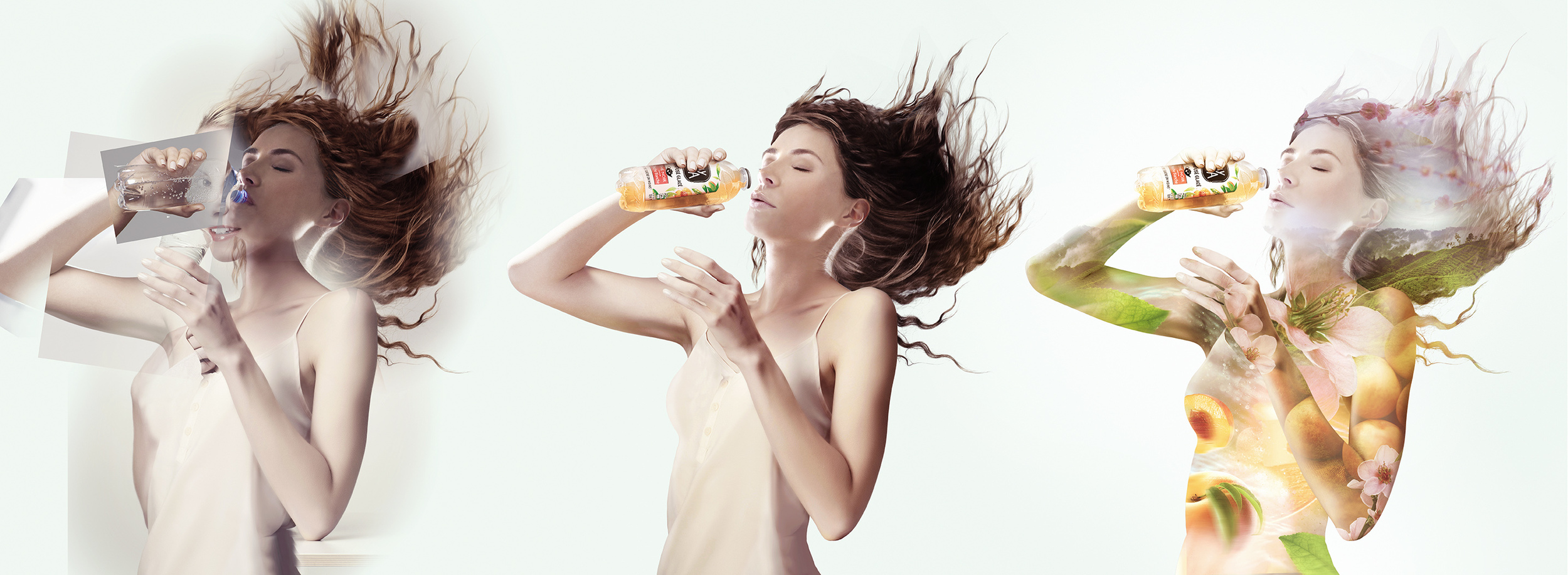 MY-TEA-V7-web-transi2.jpg