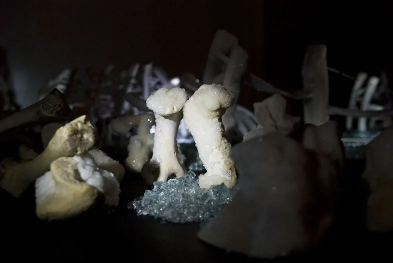 fleeting now and eternity-4.jpg