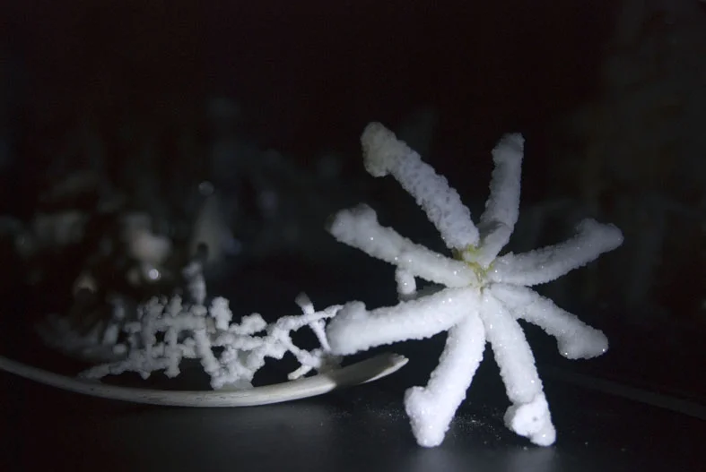 fleeting now and eternity-5.jpg