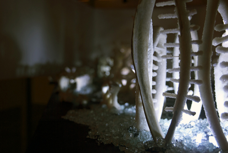 fleeting now and eternity-6.jpg