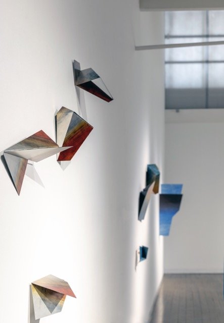 IMG_1853 Medium.jpeg