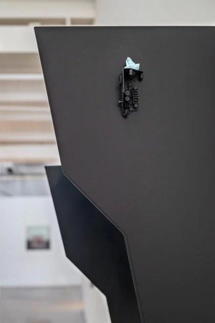 IMG_1977 Medium.jpeg