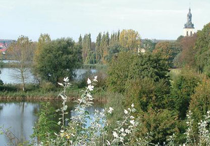 Zicht op de vijvers. Museum Parkabdij