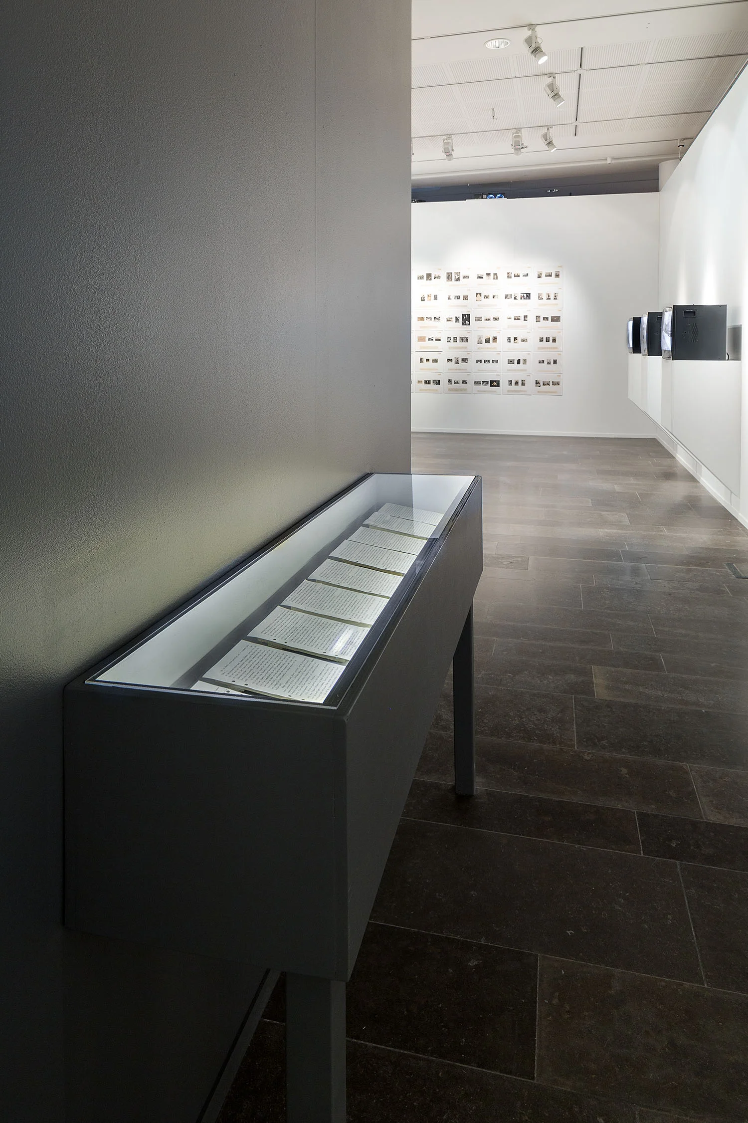 "Diamond People 2005-2010" Installation at GIBCA, 2015