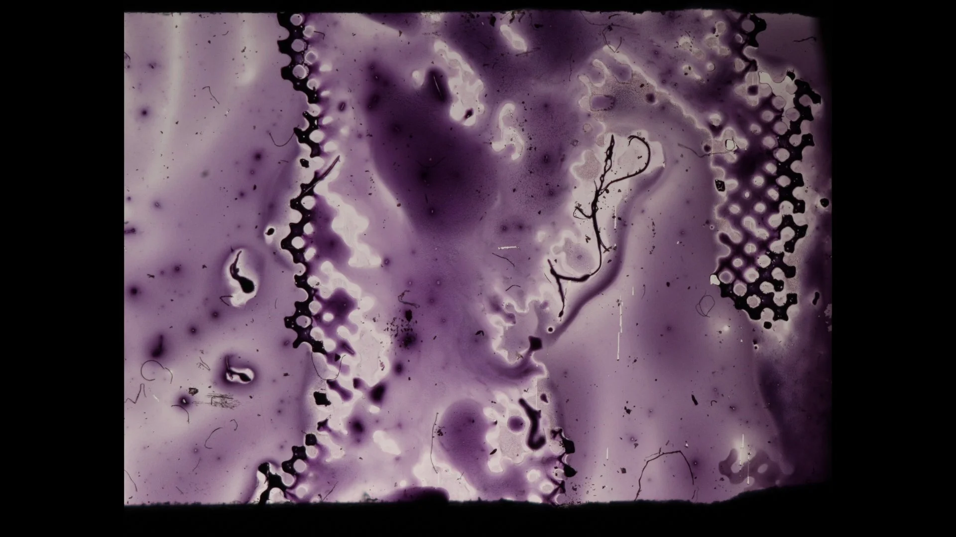 isra still 1_1.7.1.jpg