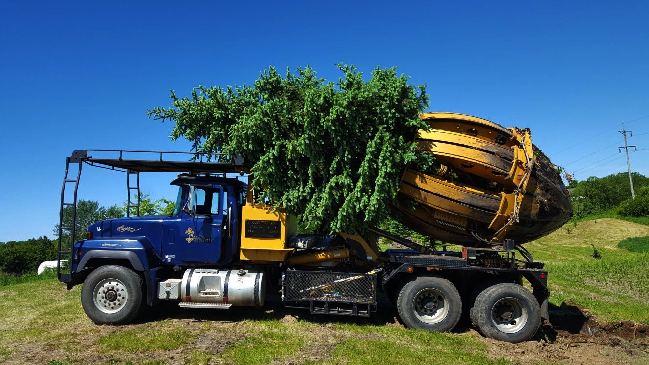 Lee's Tree Farm