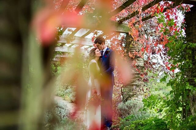 It's a year today since Jonathon and Sinead got married in the beautiful surroundings of Hestercombe Gardens in Taunton. It was such a brilliant day with this wonderful couple, with guests flying from all over to join in the celebrations. Here the ha