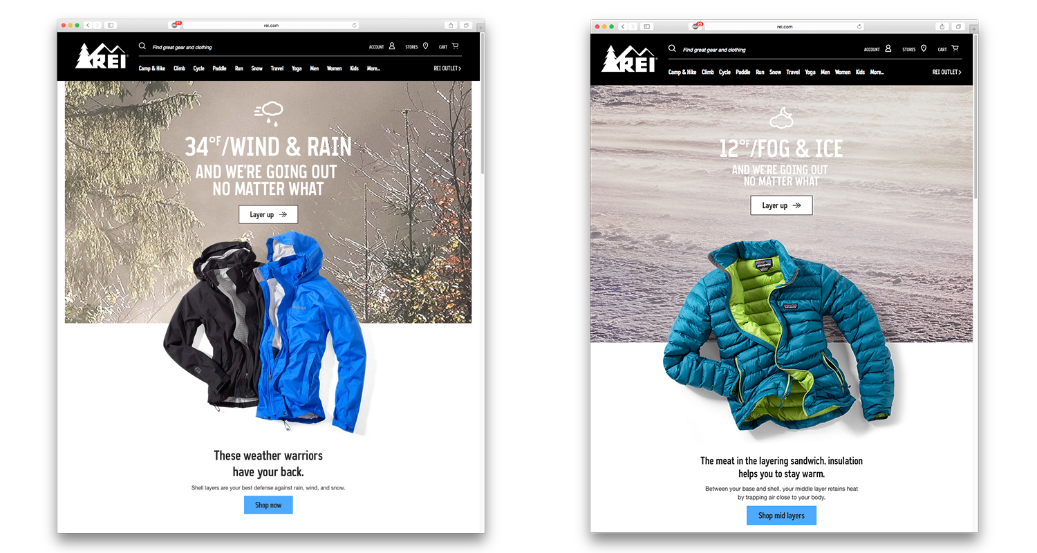 2015 Online Fall Campaign