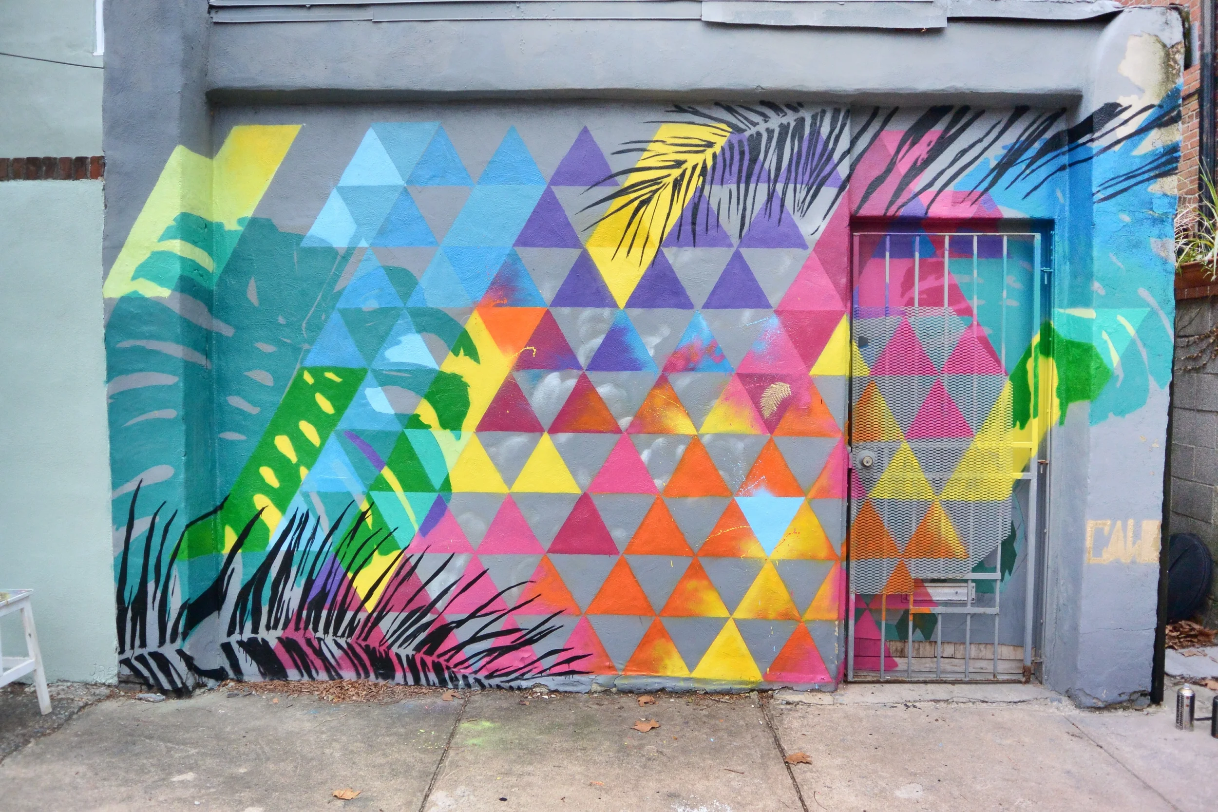 Weccacoetropical wall