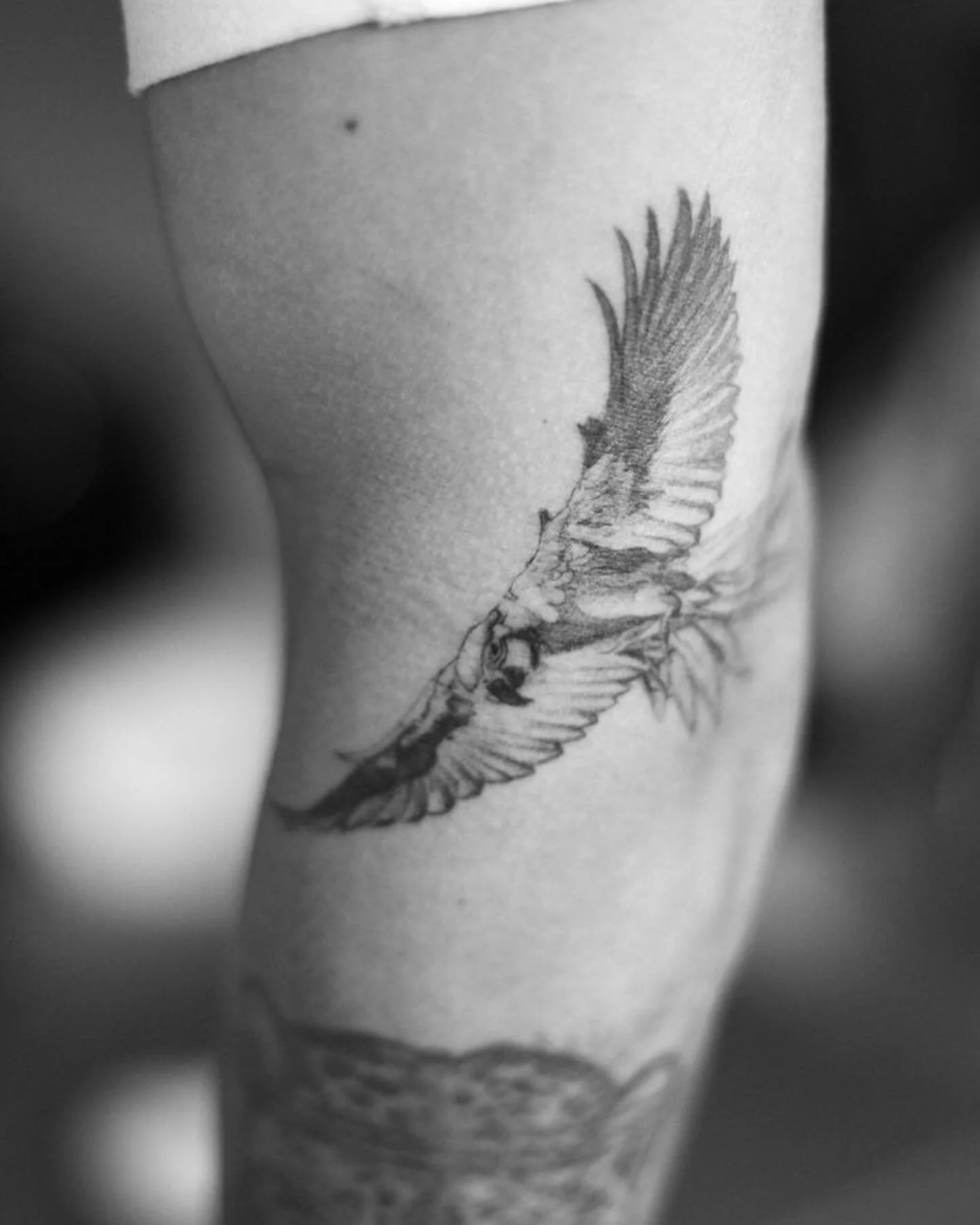 Guacamaya. #tattoo