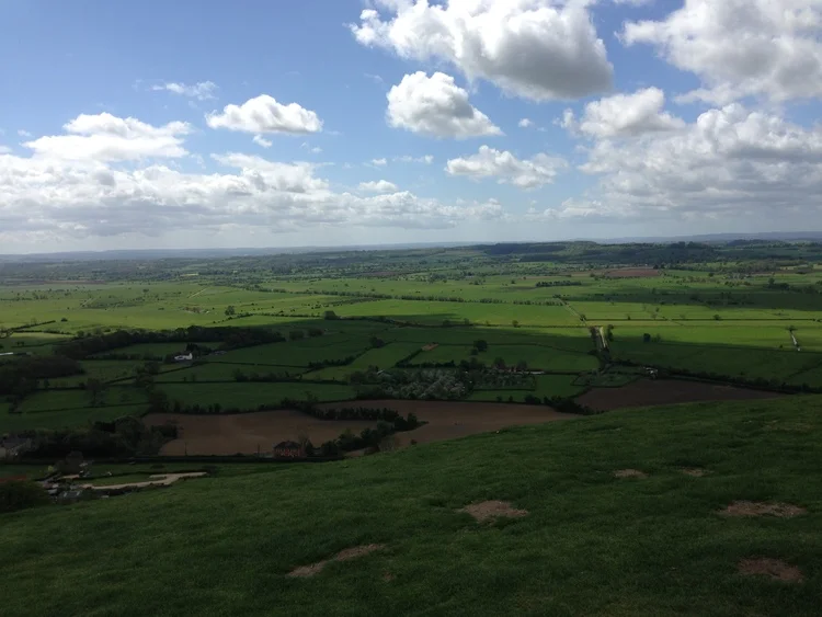 UK I: more cows than people
