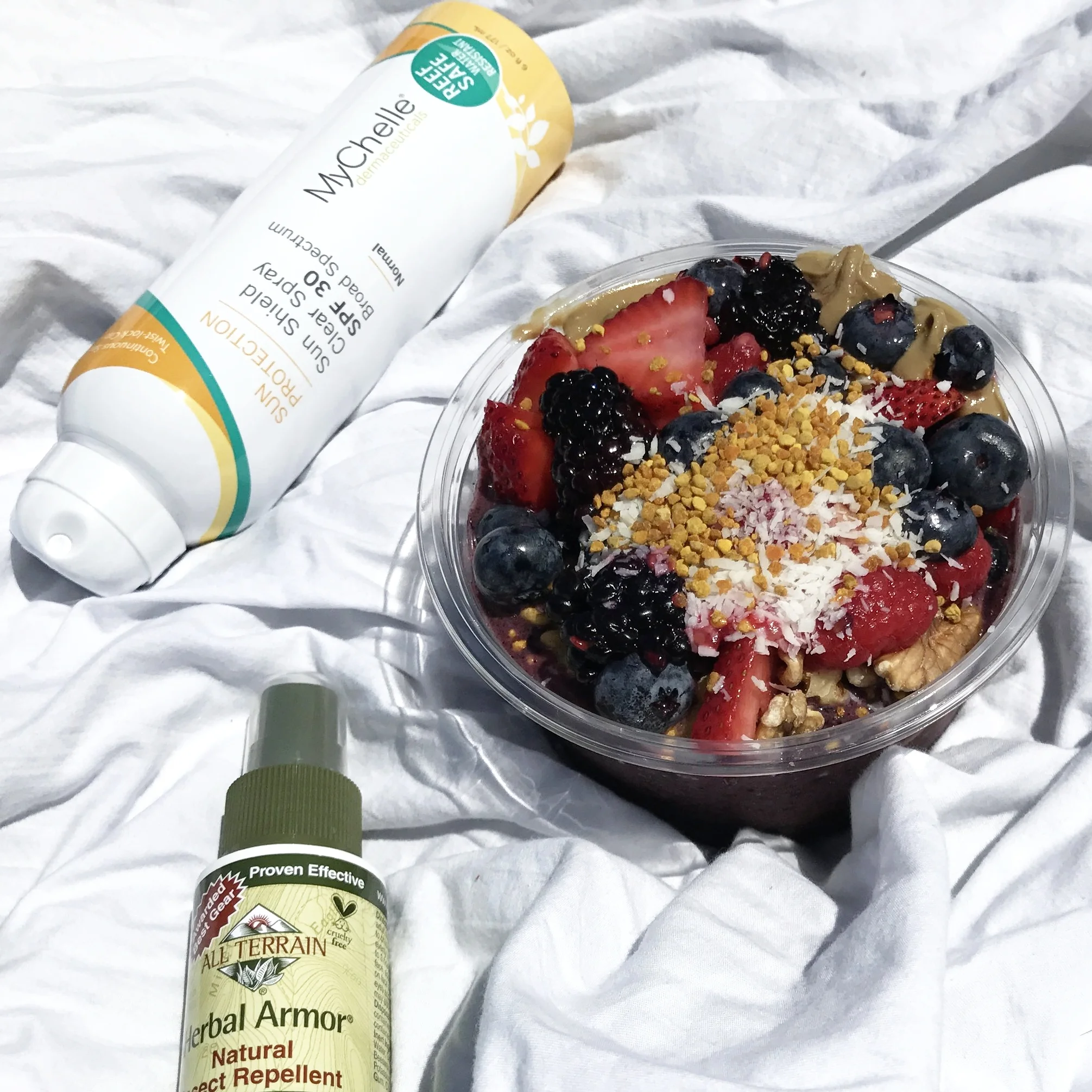 11 summer picnic/beach favorites + sandwich recipe