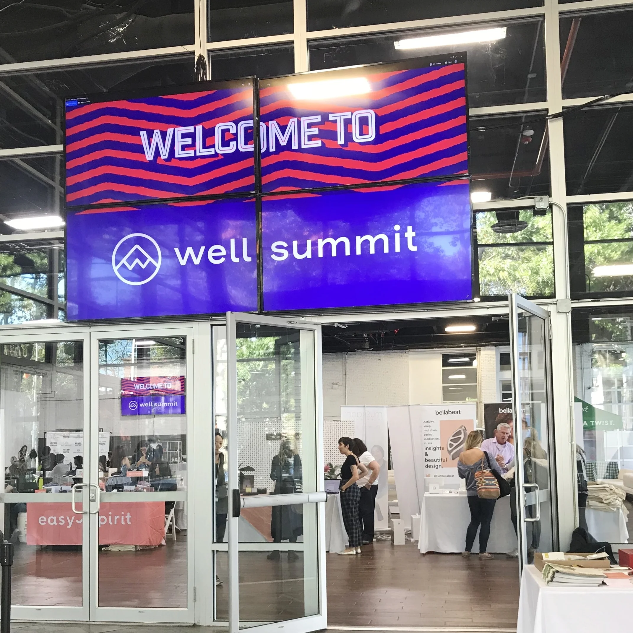 what does a wellness summit look like?