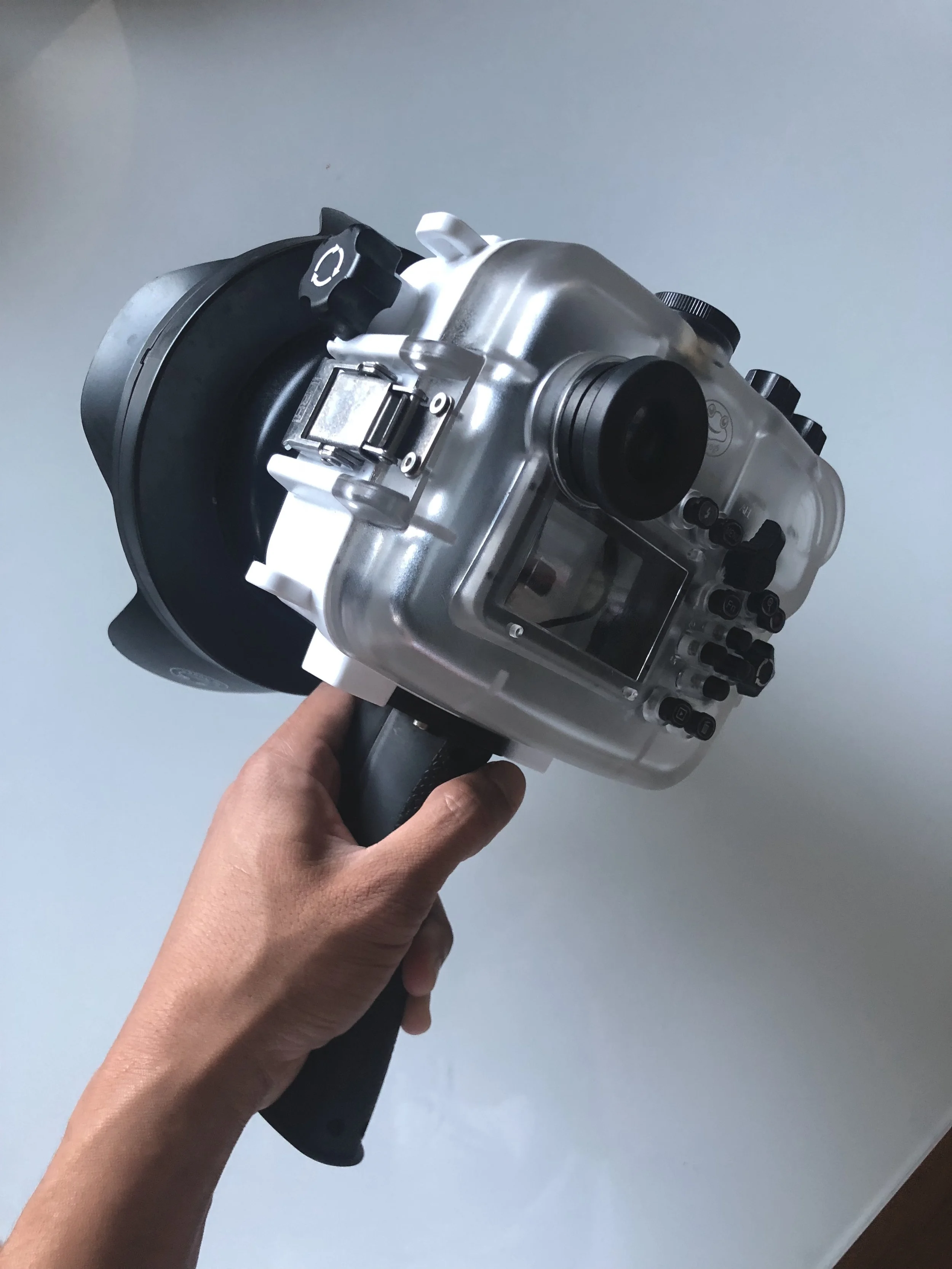 FullSizeRender.jpg