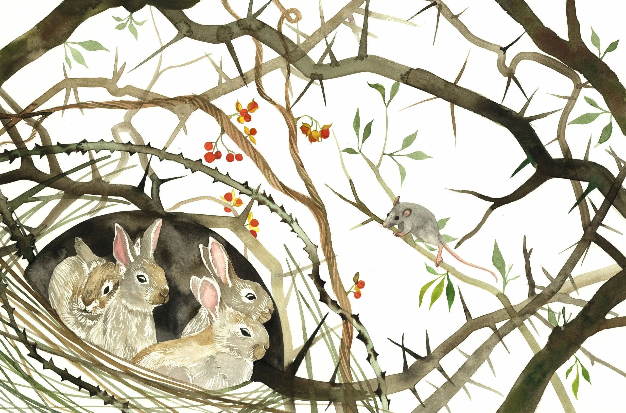bunny briar page.jpg
