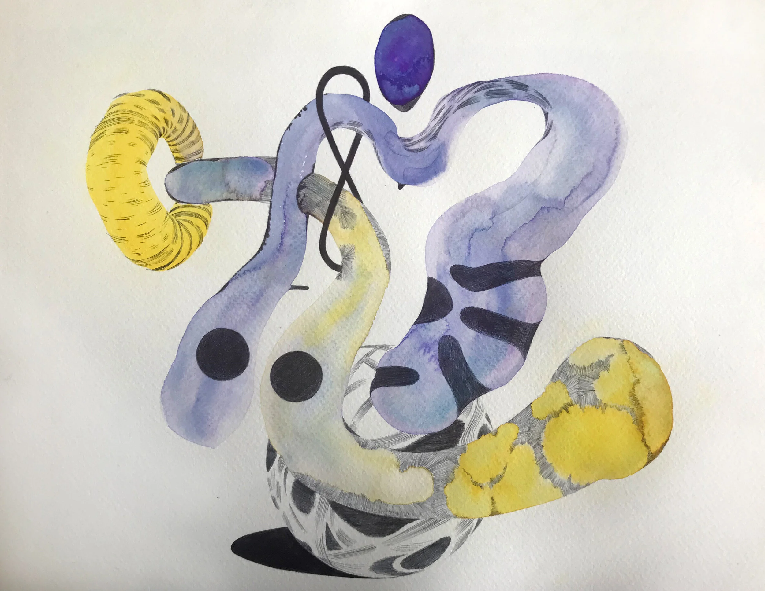 website - illo 9.jpg