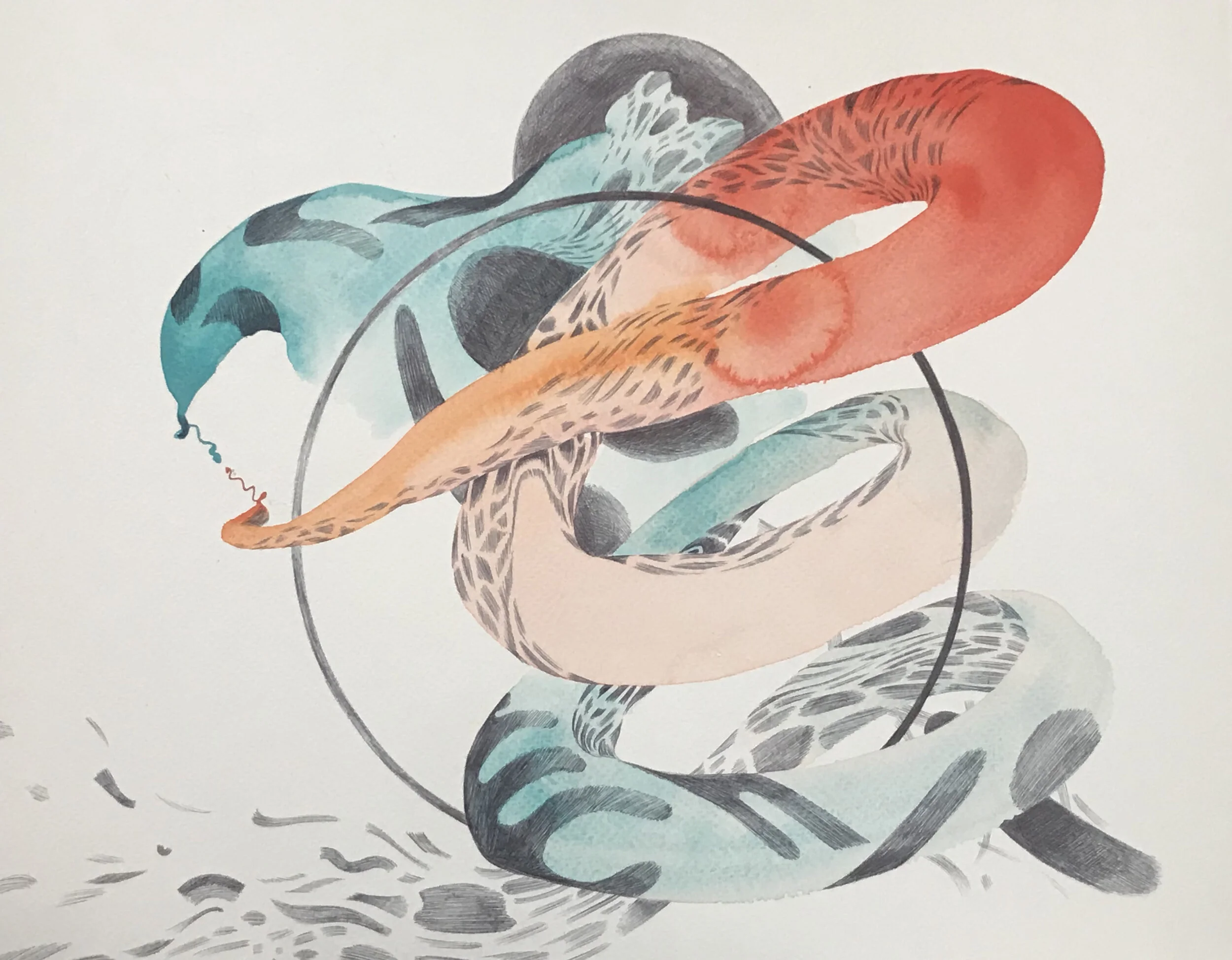 website - illo 11.jpg