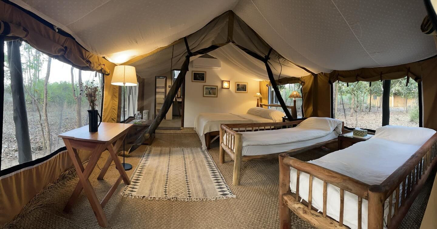 Introducing a cosy family adventure at Shergarh with our two new &lsquo;extra-spacious&rsquo; tents with sofas that become beds. Oversized netted windows keep you immersed in the natural surroundings, and bathrooms with twin basins and separate toile