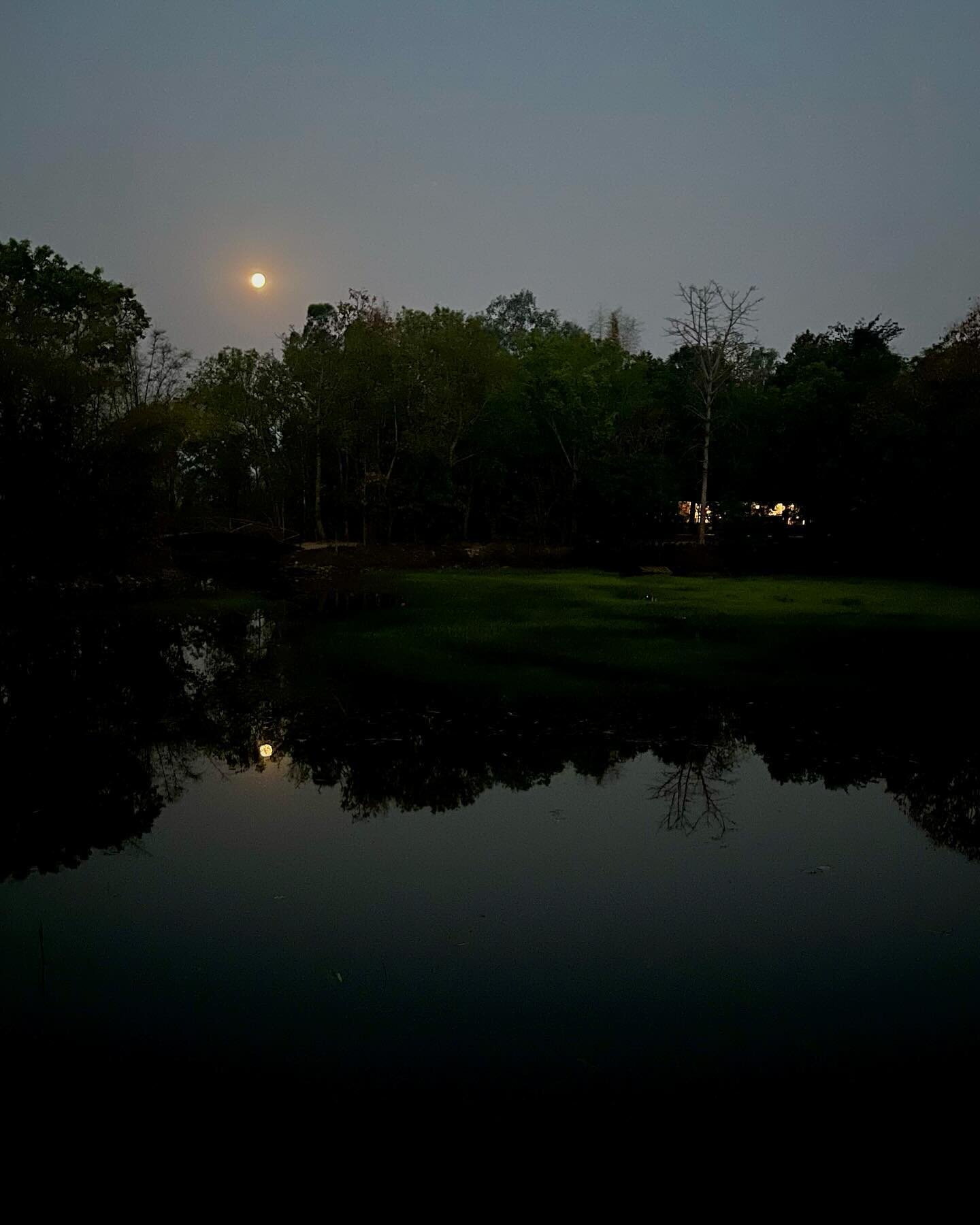 Watching the moon set and the sun rise while everyone else is out on safari.