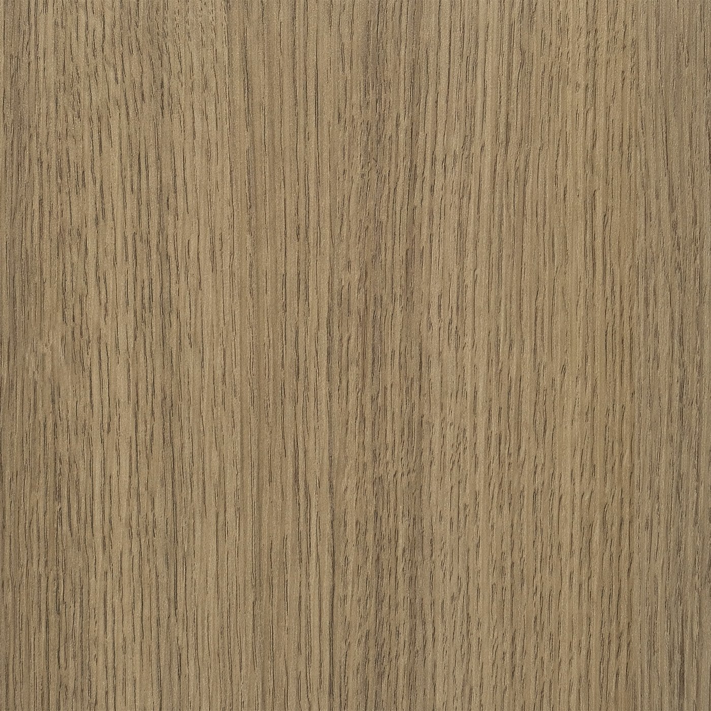 Charleston Oak (DL)