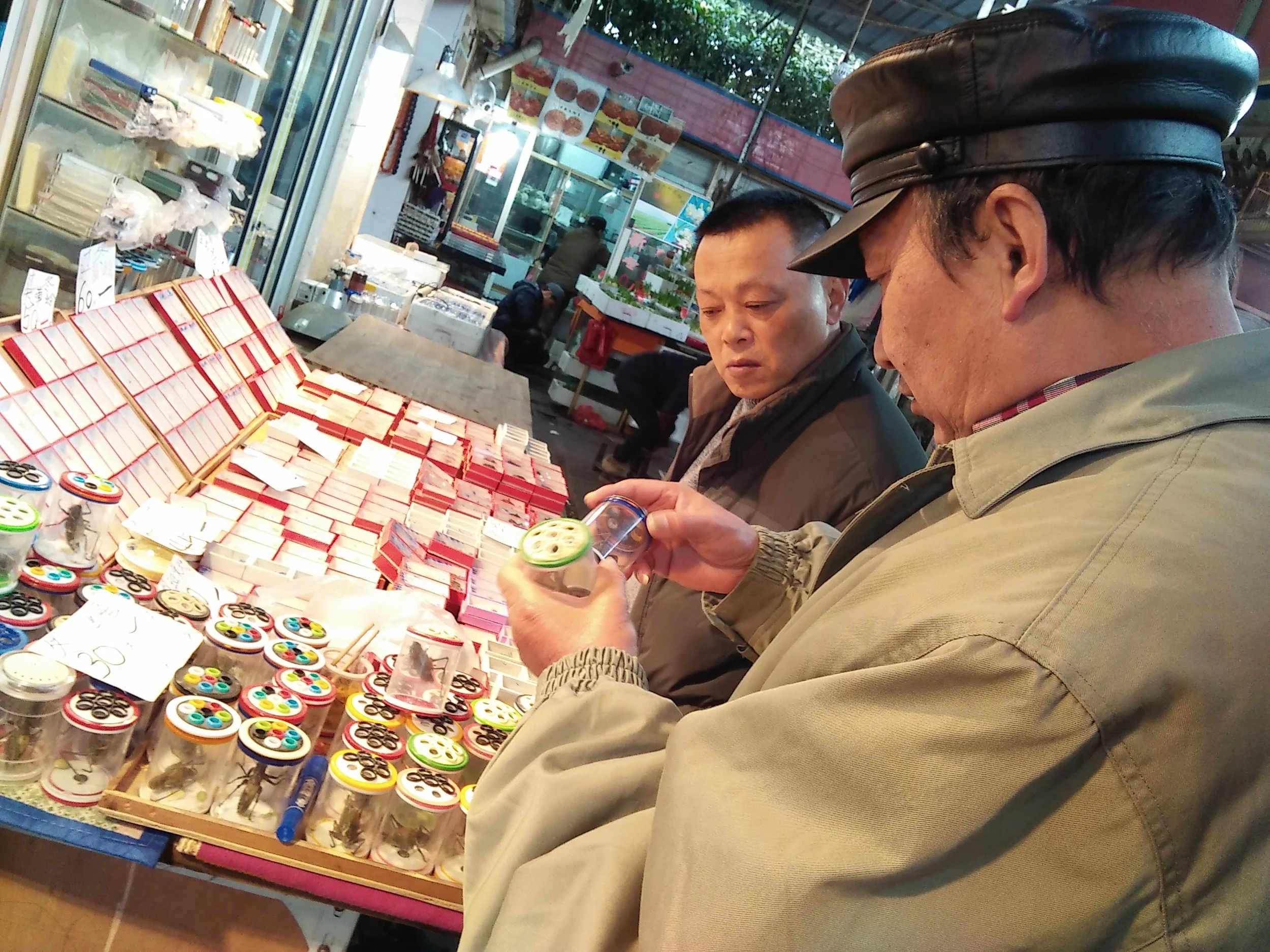 There's a vibrant, unmiss-able soundscape to be experienced in Shanghai's bird & insect markets. 在上海的花鸟市场中,您可以体会到一种不可错过的活跃音景