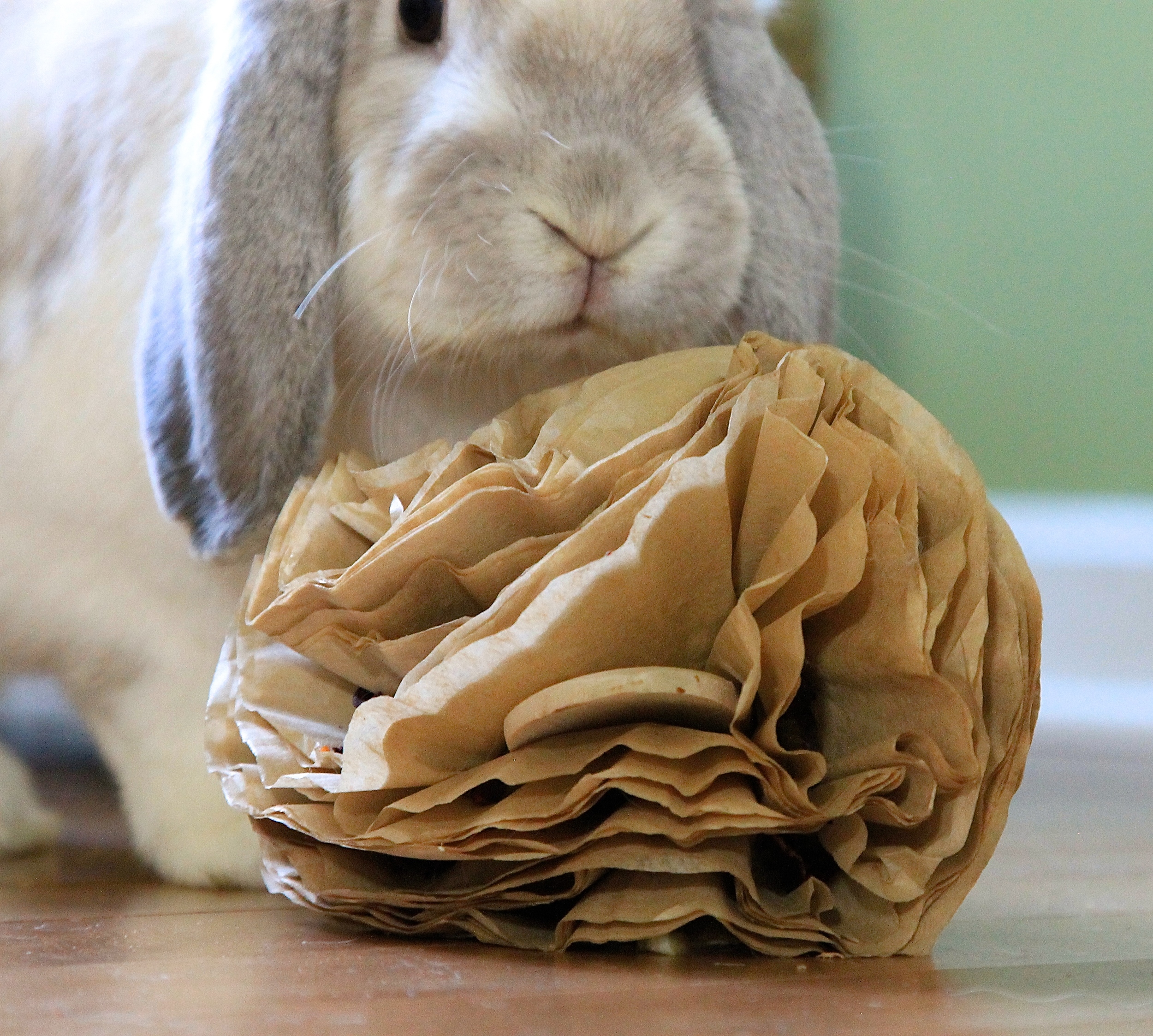 Filter Flowers for Days