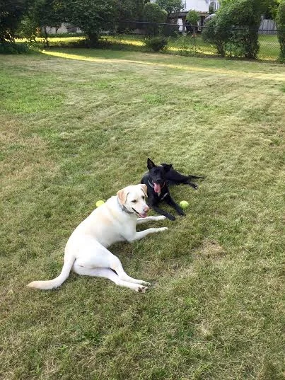 Penny and Sally