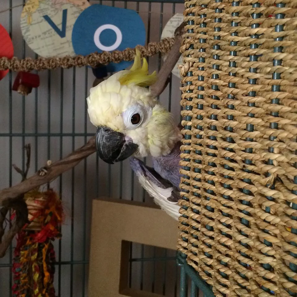 {E} is even more than anyone that you adore