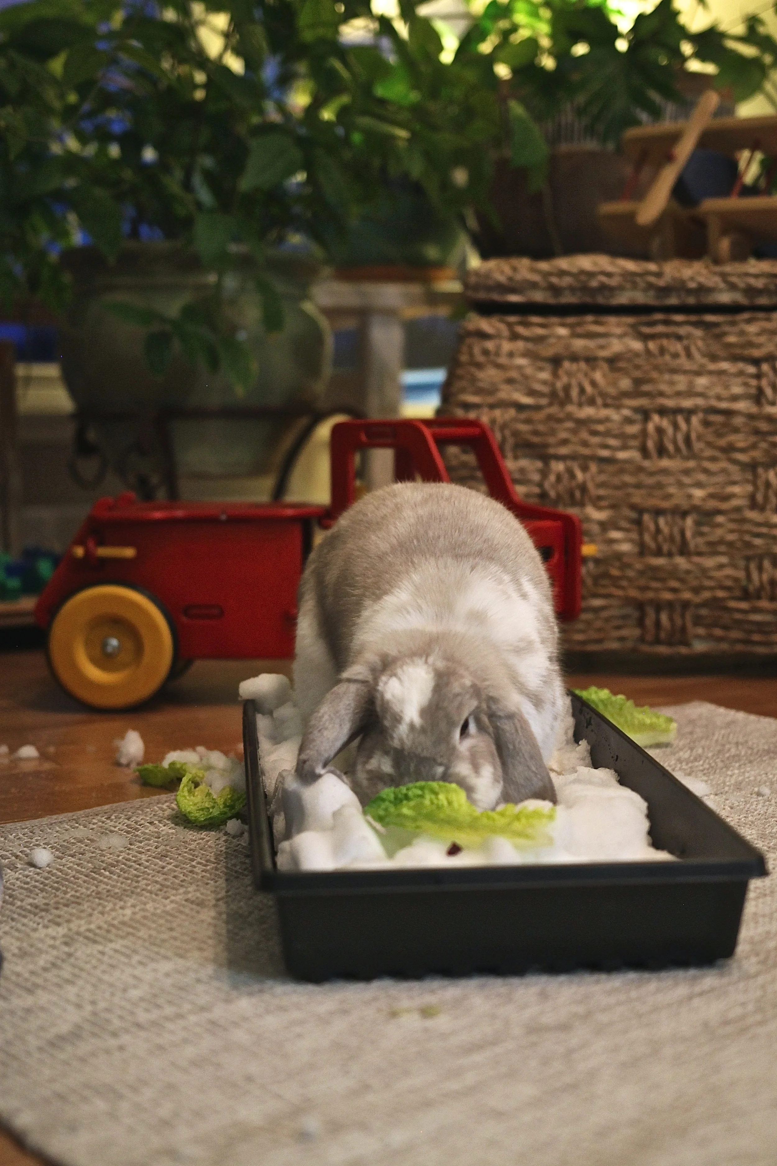 No Business like Snow Business