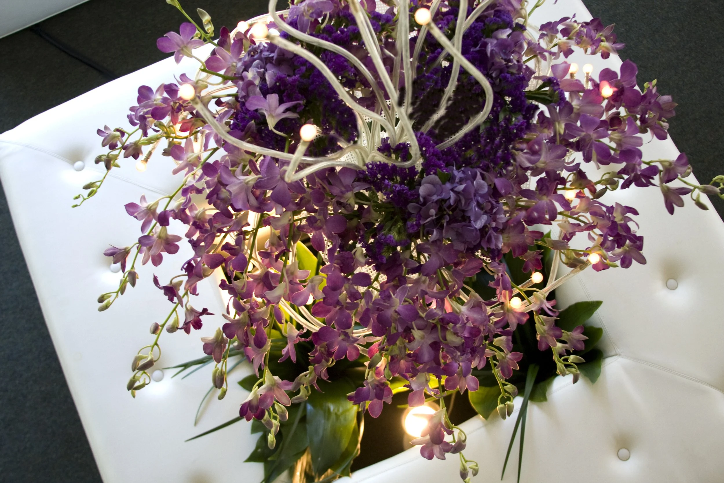 Copy of James_1213.jpg