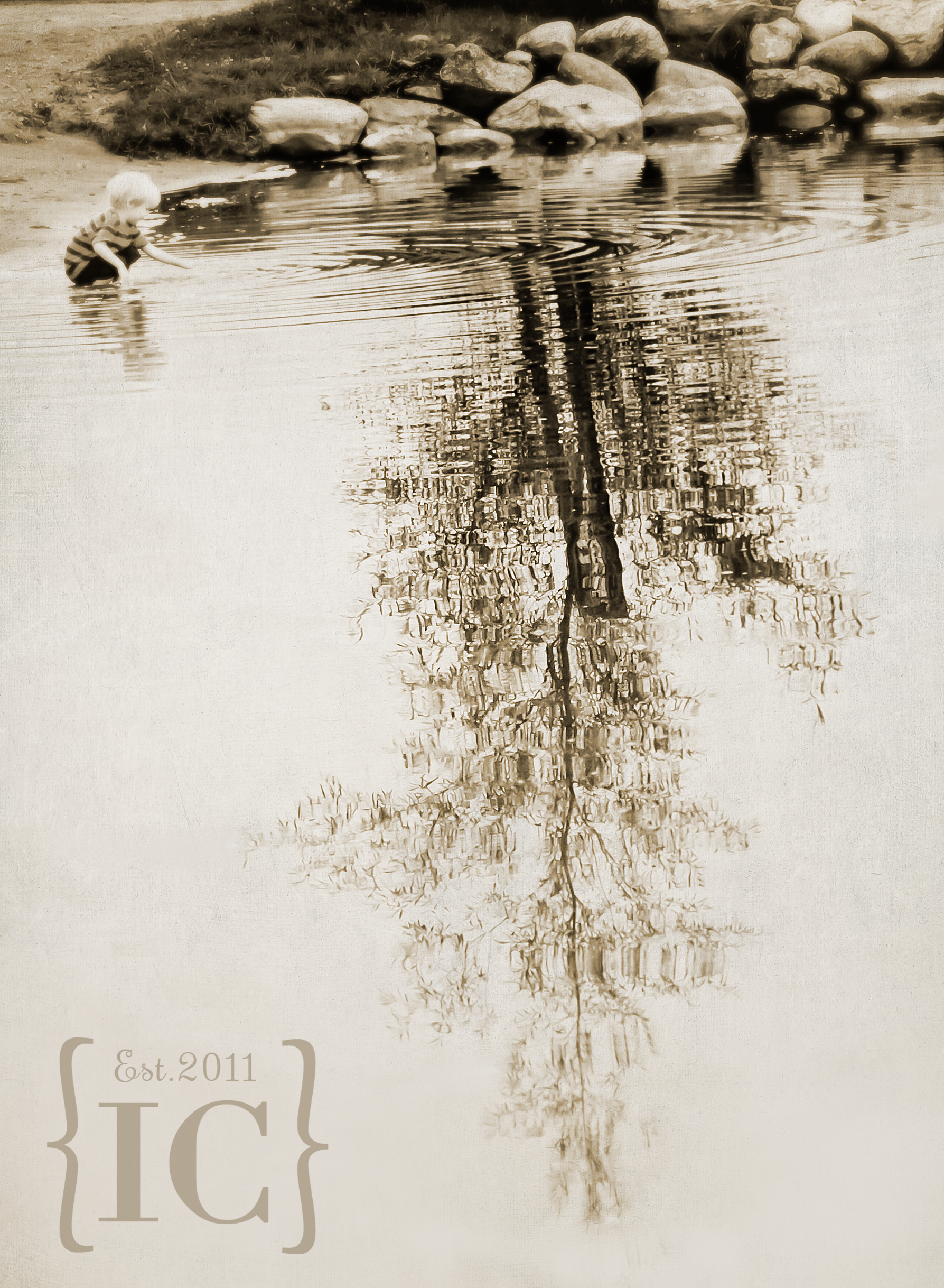 _MG_7409-Ronan-Tree-BW-watermarked