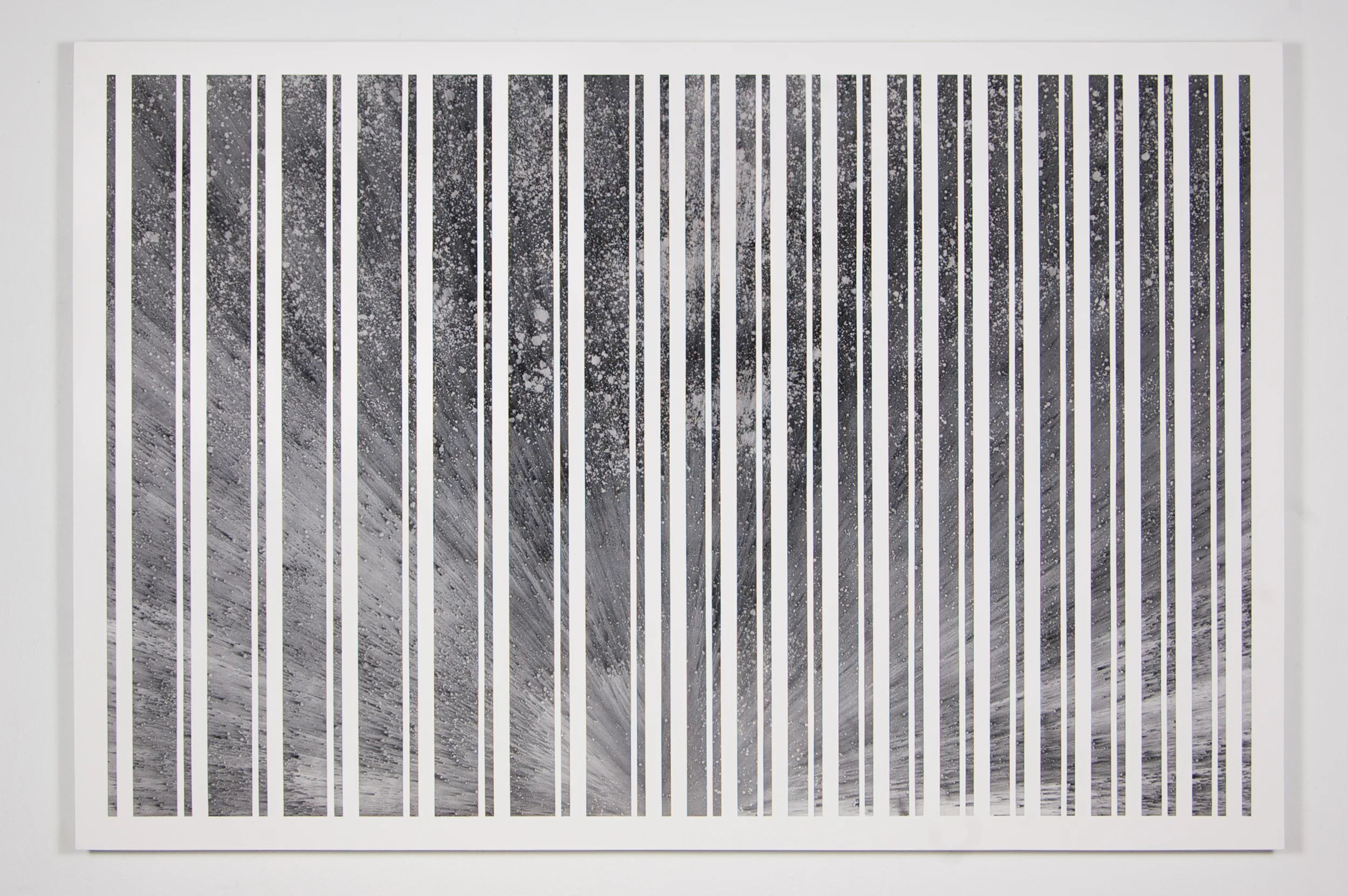 Untitled (D.C. Sportswriter)