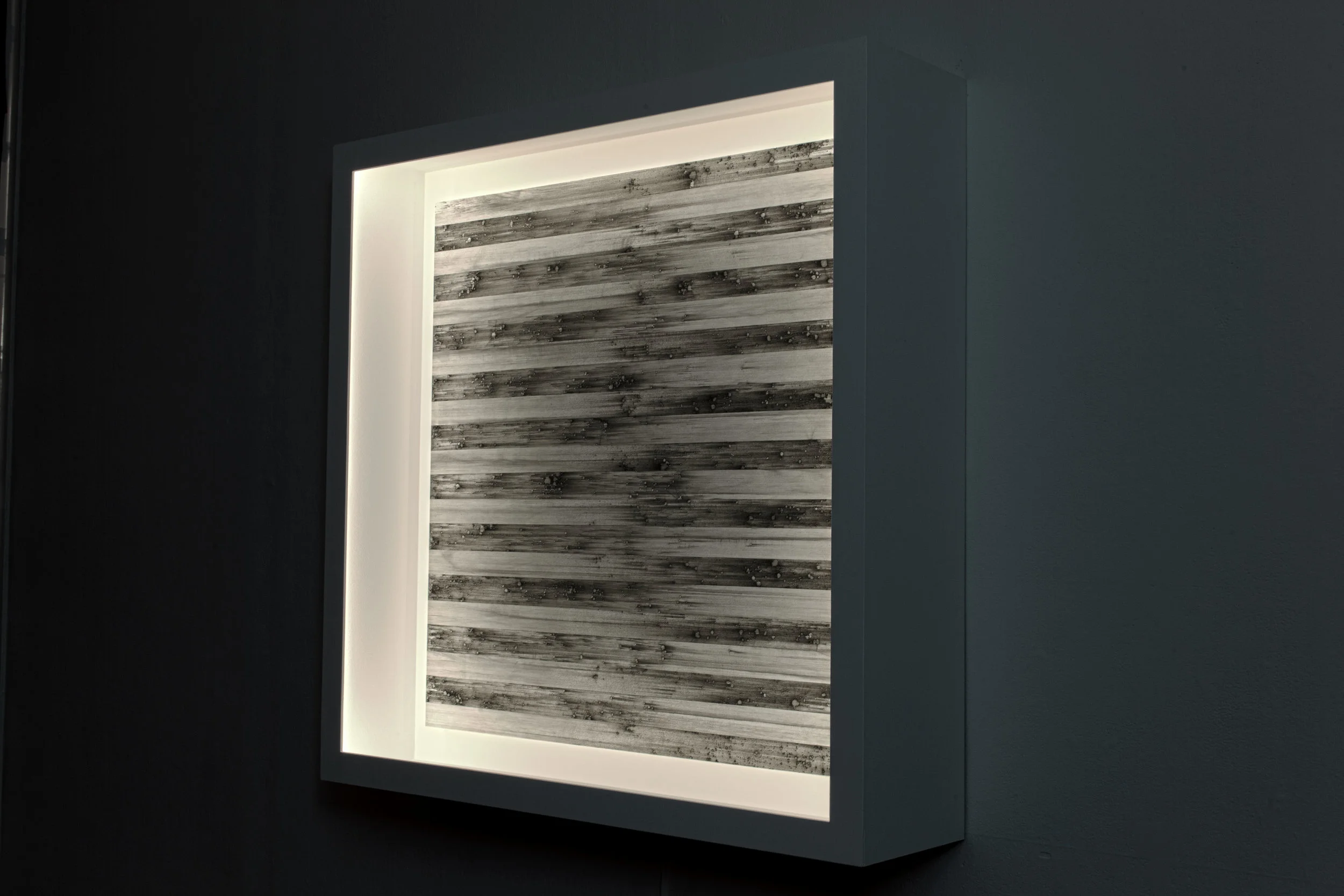 blinds_side.jpg