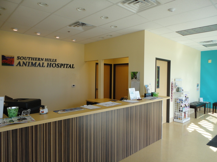 Our Clinic Southern Hills Animal Hospital