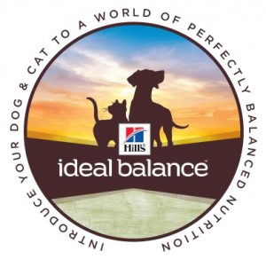 Ideal-Balance-logo-300x292.jpg