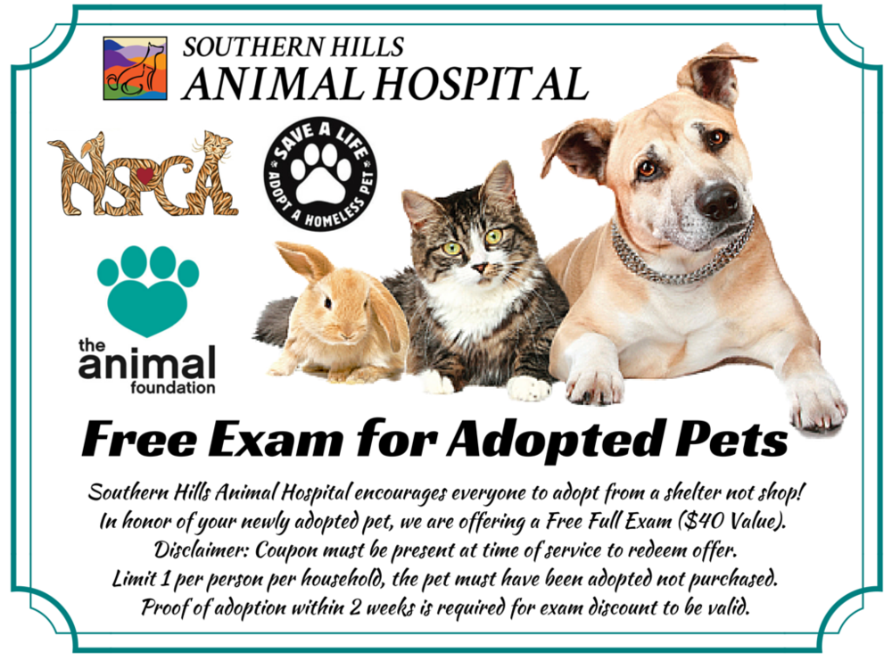 Specials — Southern Hills Animal Hospital