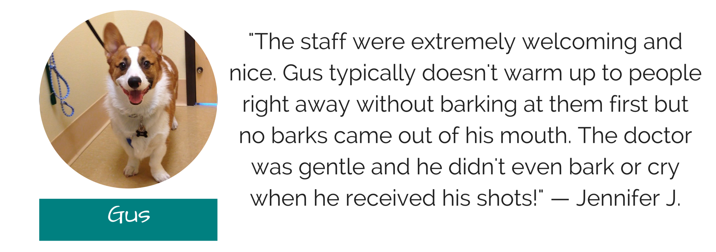 Testimonials (1).png