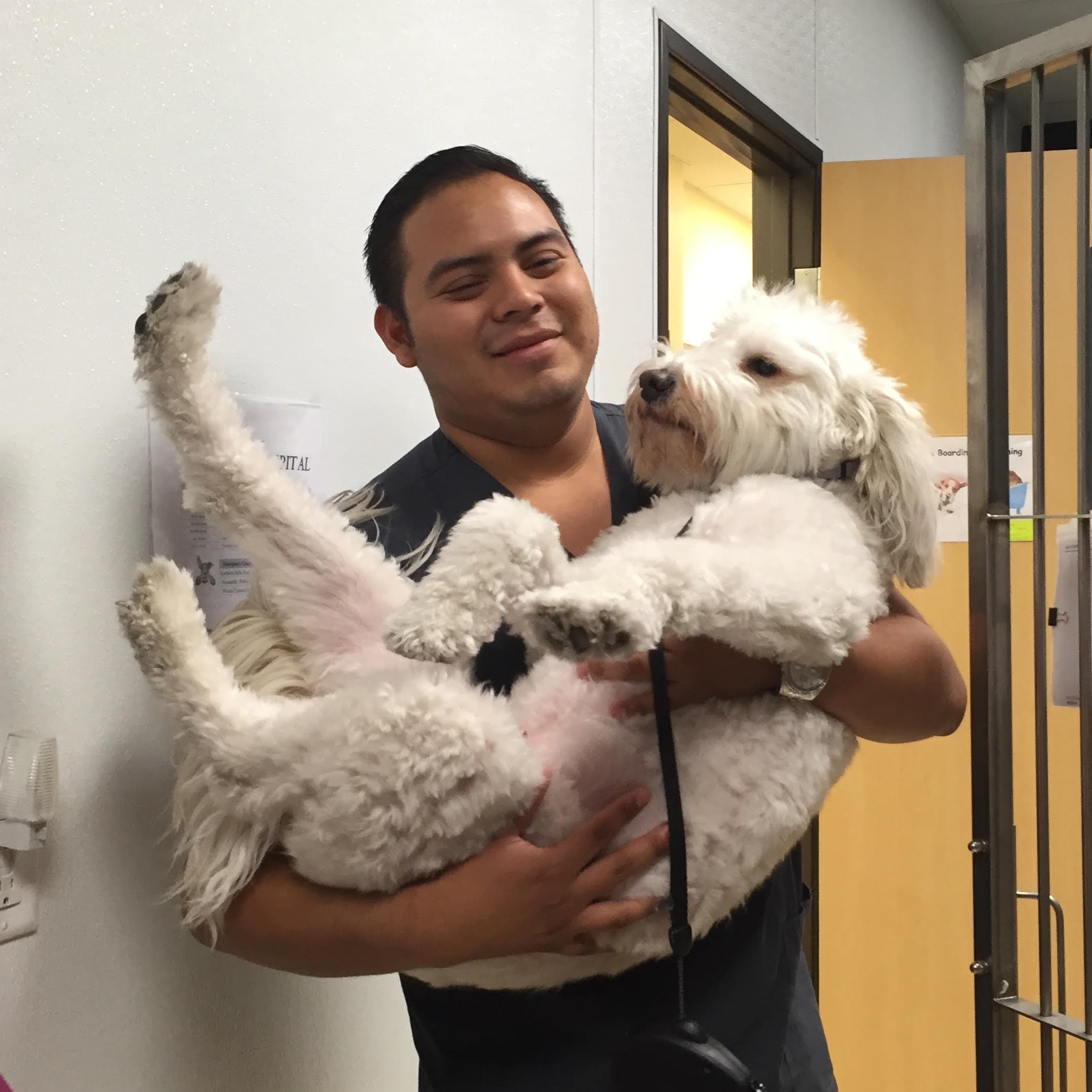 Our Staff — Southern Hills Animal Hospital