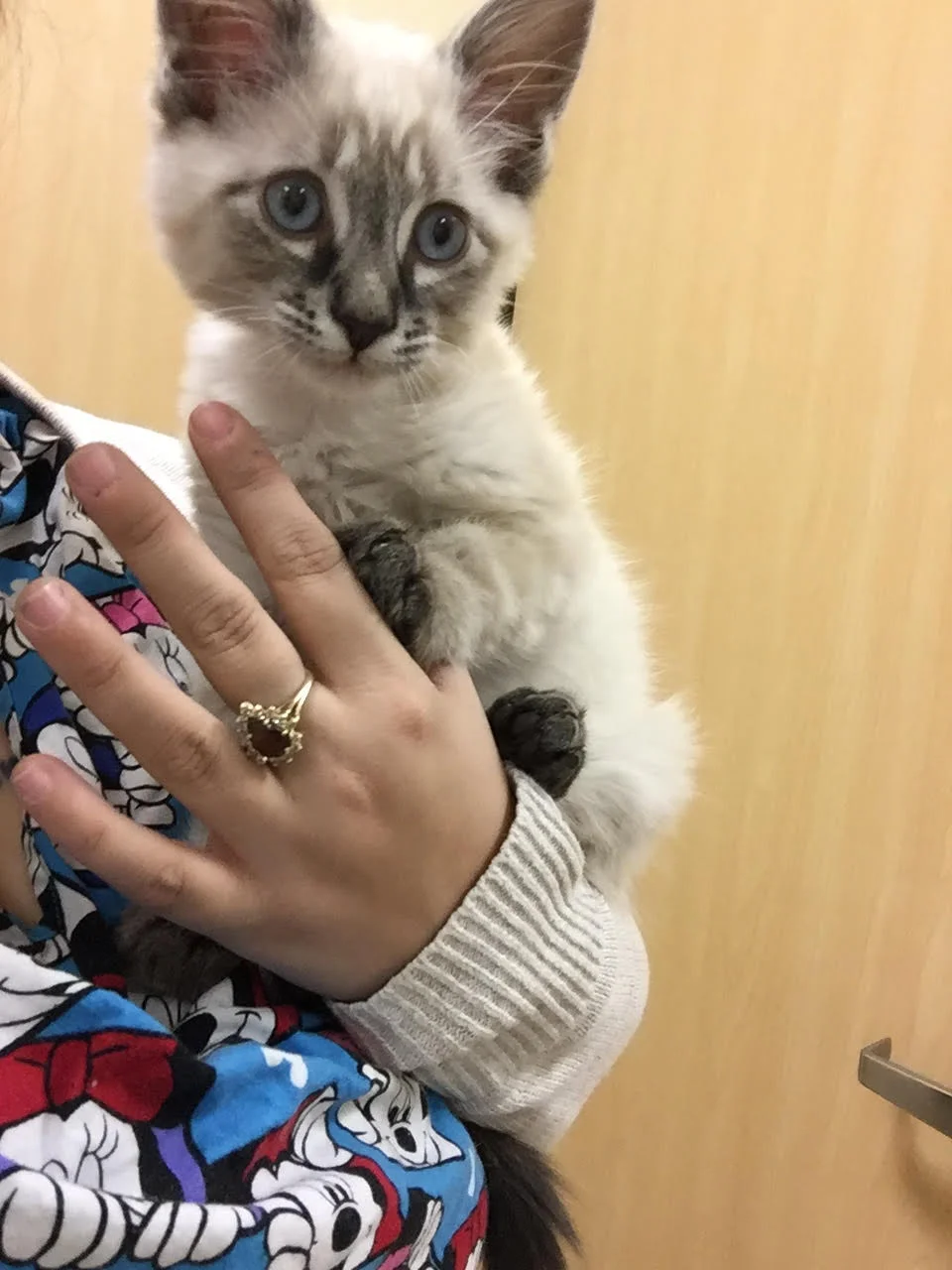 Our Staff — Southern Hills Animal Hospital