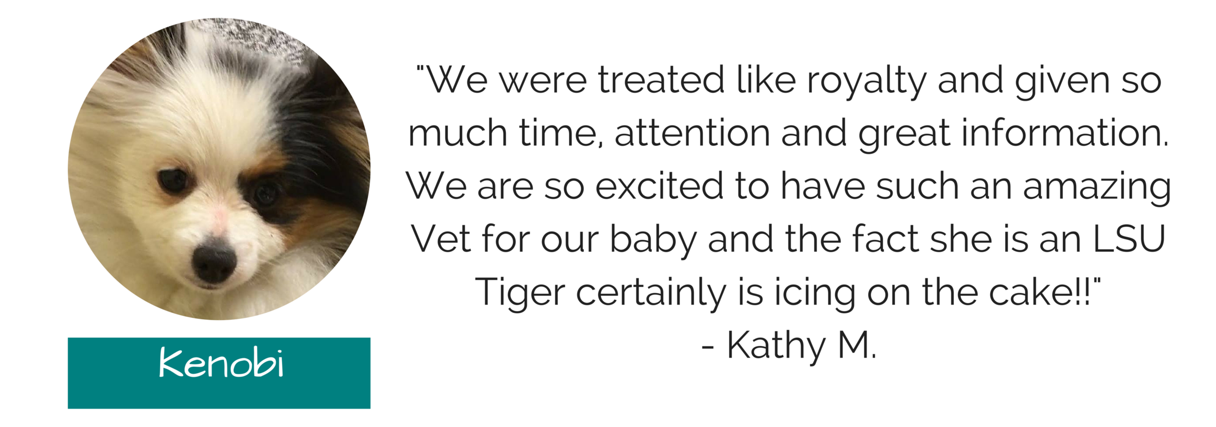 Website - Testimonials.png