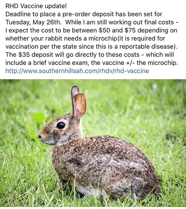 RHD (Rabbit Hemorrhagic Disease) is a reportable disease that has recently been found in the Southwest US. It is limited to rabbits - wild and domestic. Our clinic will be offering a vaccine for this disease. You can read more about RHD and pre-order