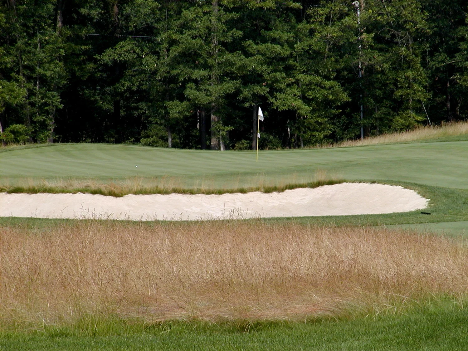 Blue Heron Pines Photo Gallery