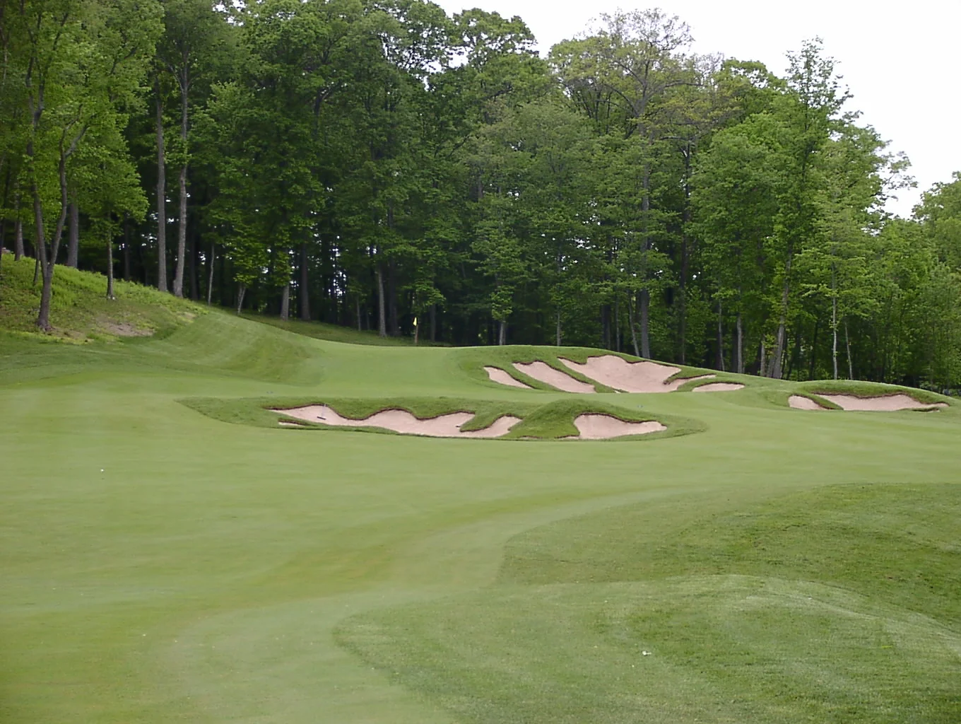 2-fairway.JPG
