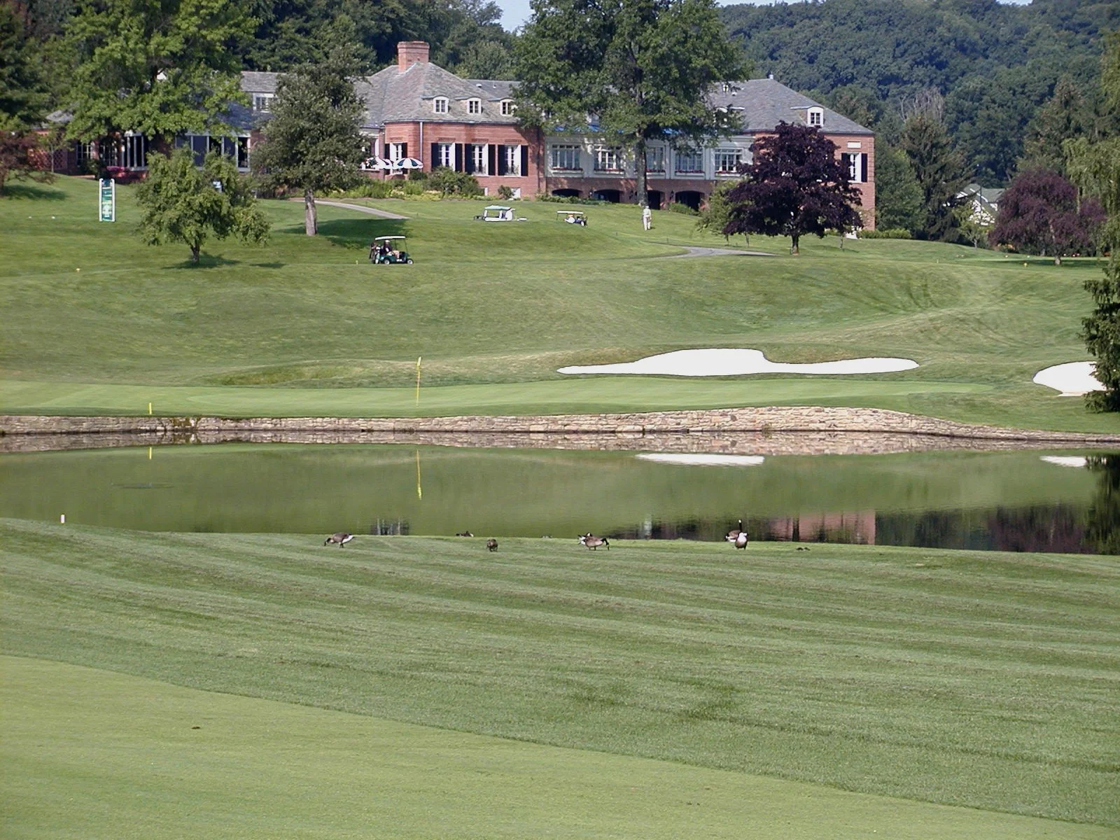 18-green.JPG