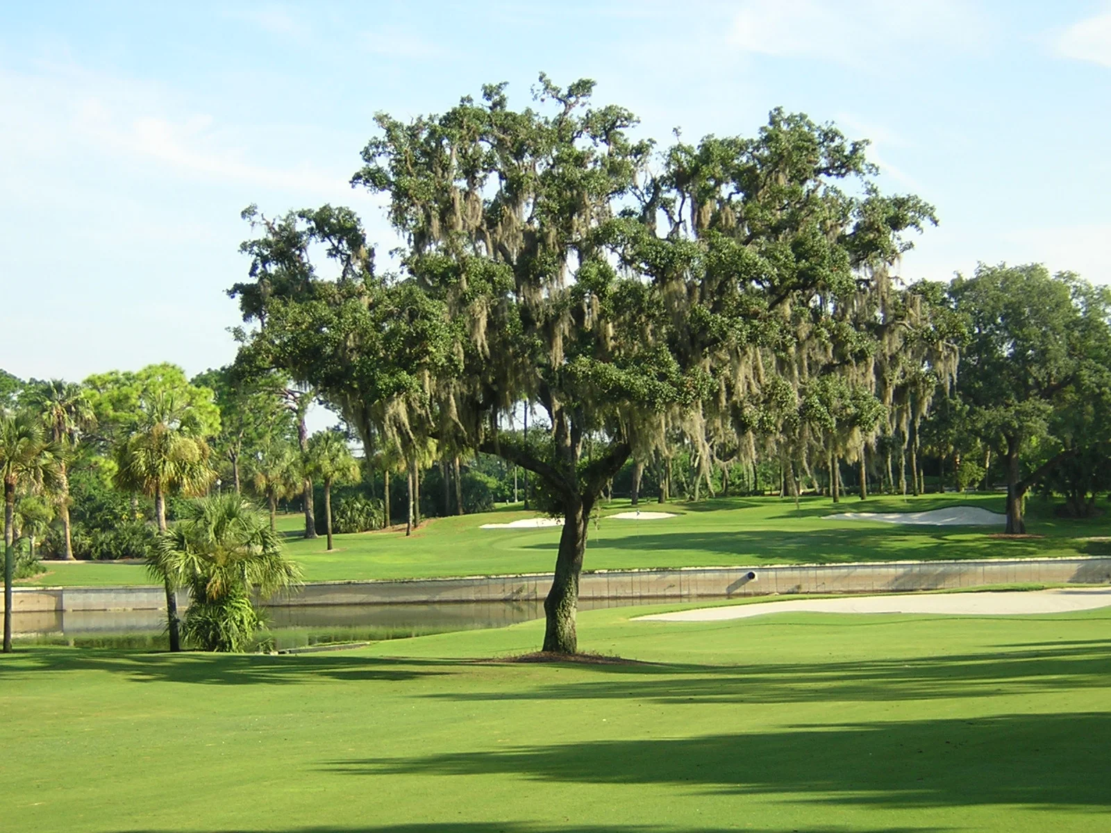17-fairway.JPG