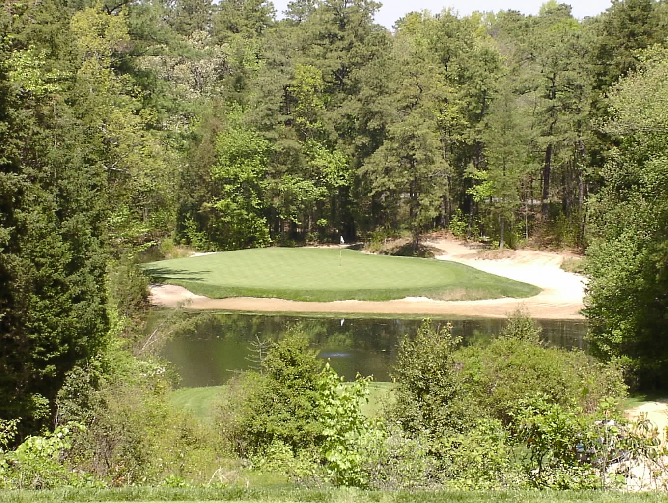 Pine Valley — PHOTO GALLERY